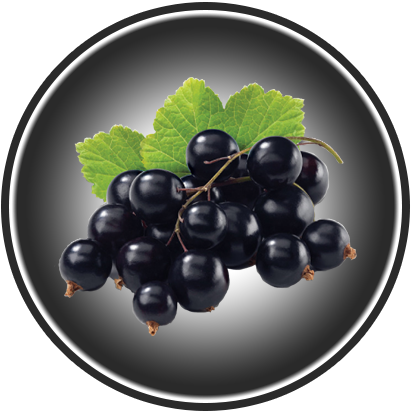 SCHWARZE JOHANNISBEEREN 220g