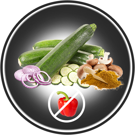 Curry Zucchetti ohne Peperoni 360g