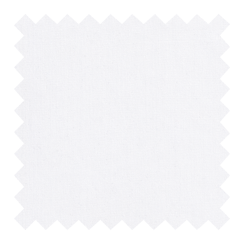BLANCA LISA
