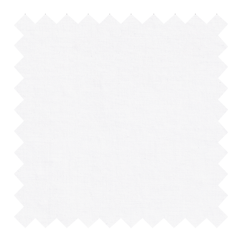 BLANCA LISA