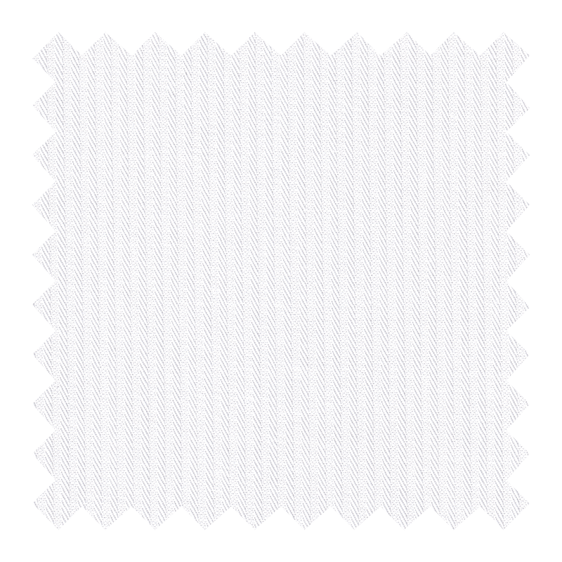 BLANCA RAYA BLANCA