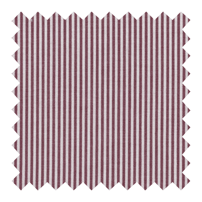BLANCA RAYA VINO