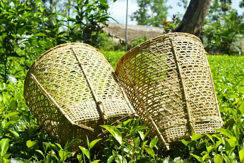 Bamboo Basket (Tzsong) 
Buy now.