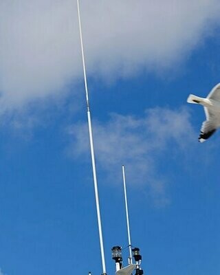 Extension Masts