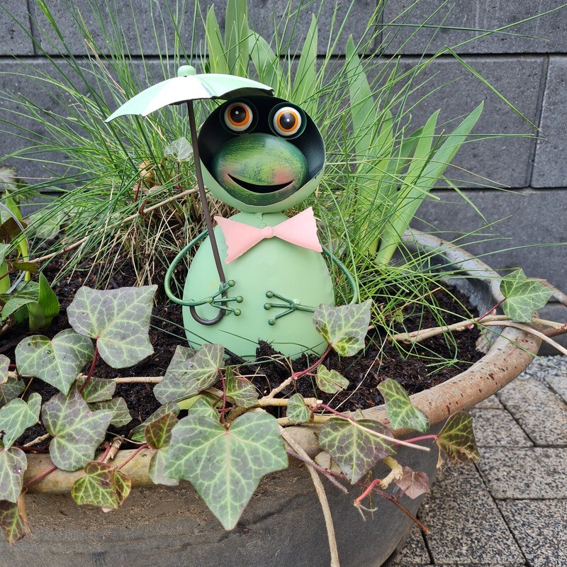Eisen Zaunhocker Froschmännchen Fiete
