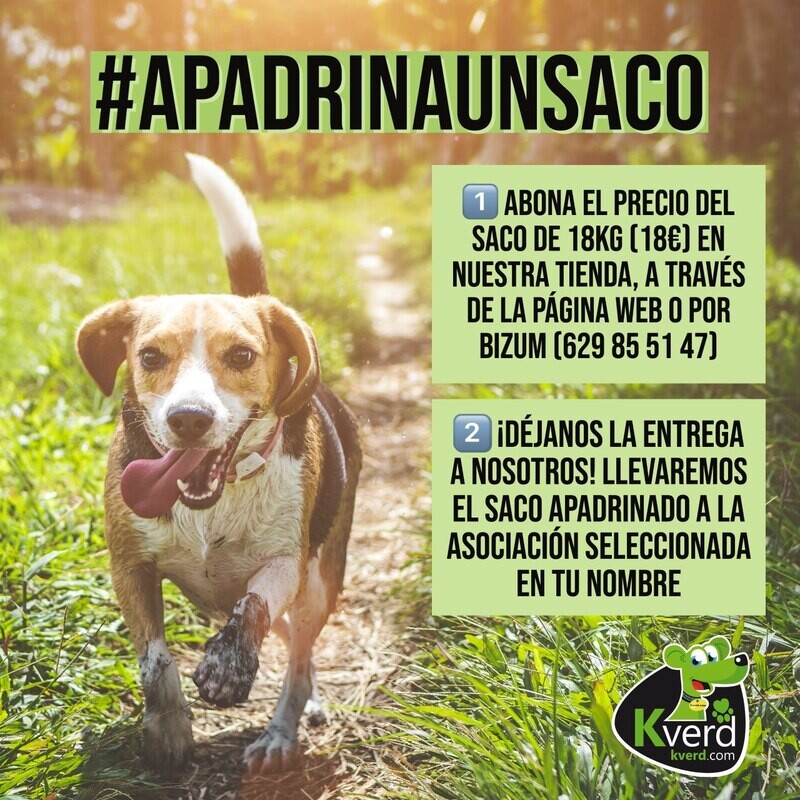 Apadrina un saco con Kverd