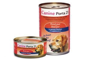 CANINE PORTA 21
