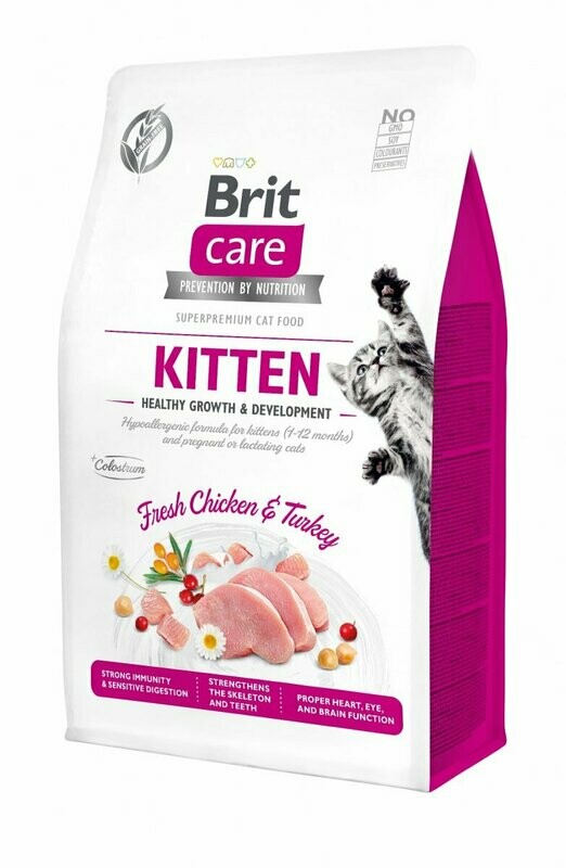 Brit Kitten