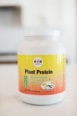 HDT Plant Based Protein Powder, Vanilla