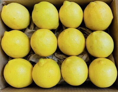 Colossal Lemons
