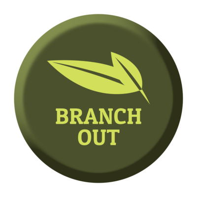 Coaching Package 4 - Branch Out