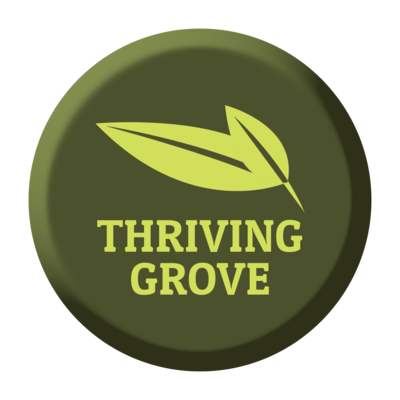 Coaching Package 3 - Thriving Grove