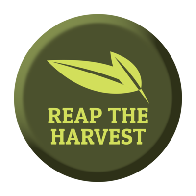 Coaching Package 2 - Reap The Harvest