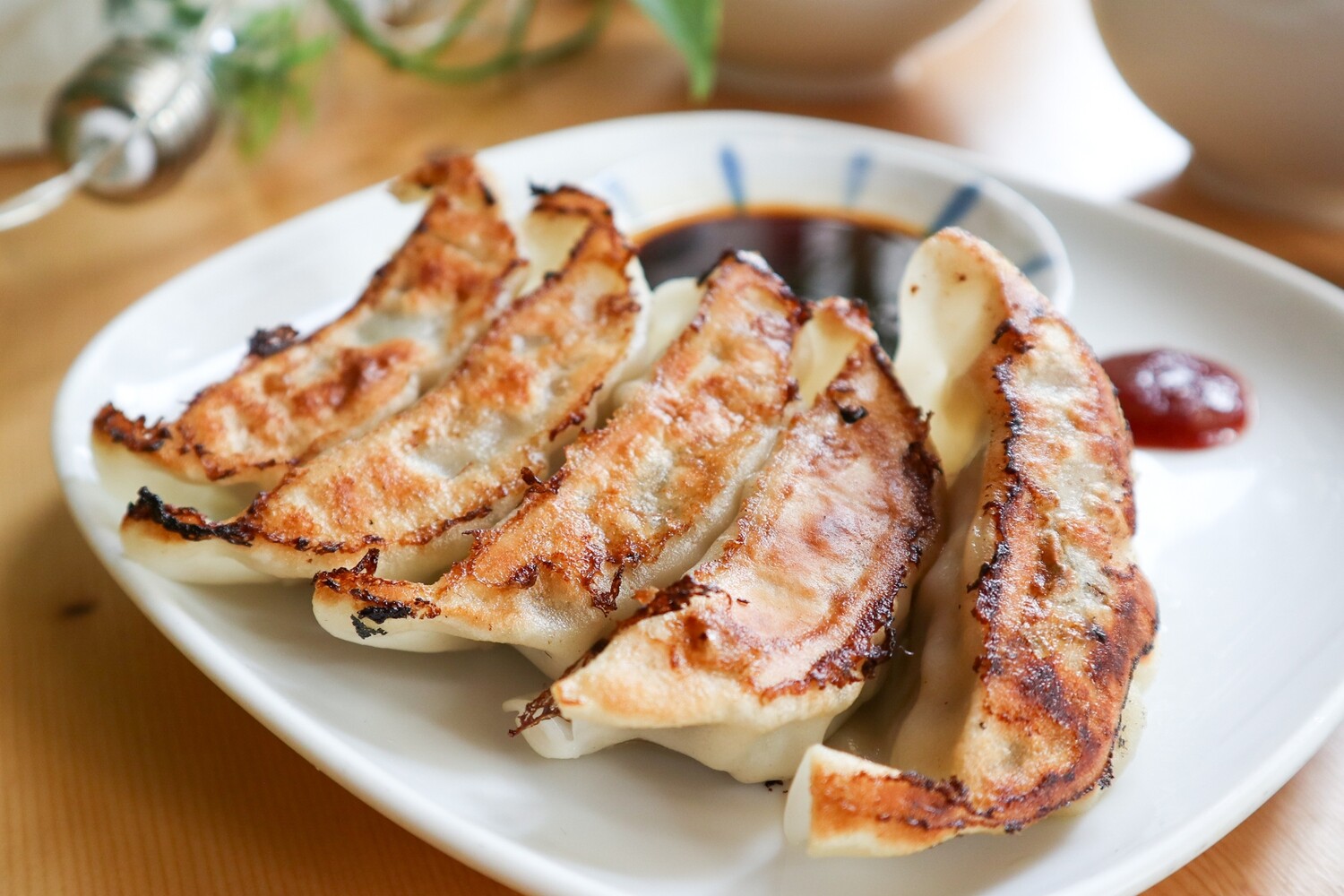 Frozen Gyoza / 1kg