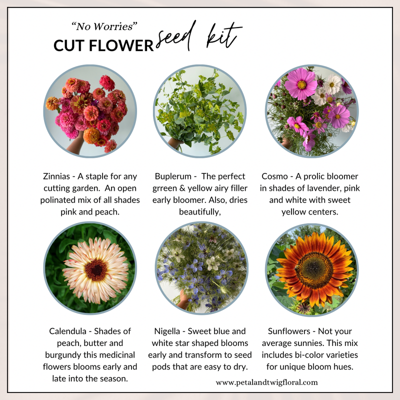 Easy grow seed collection featuring reliable cut flower varieties chosen for simple garden growing and bouquet use.