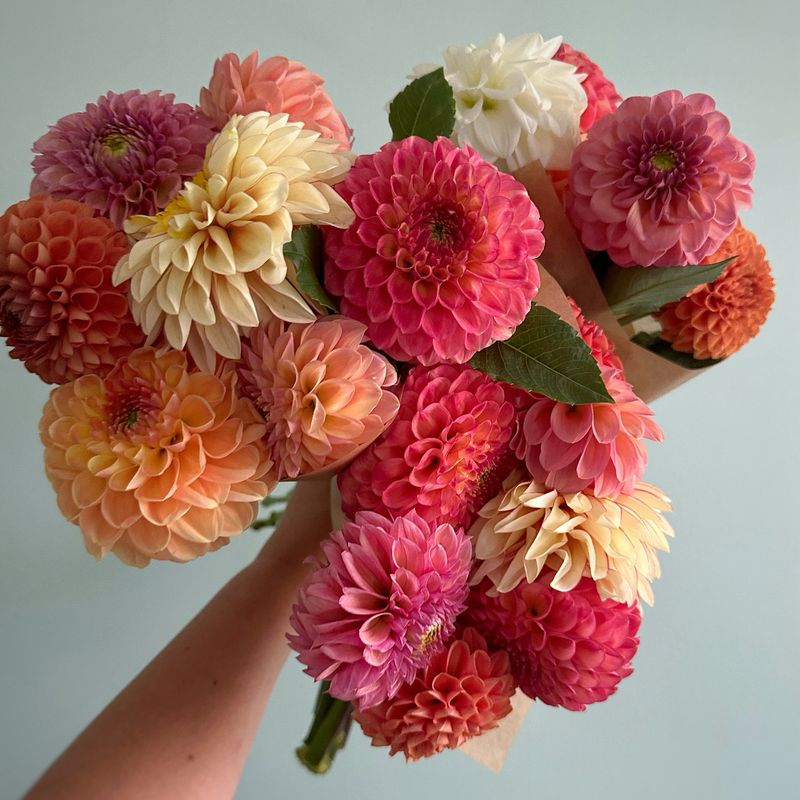 Dahlia Bouquet