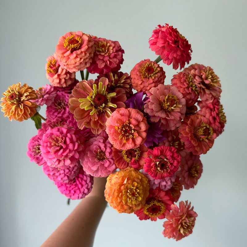 The Florist’s Patch seed collection featuring a curated mix of cut flower varieties for bouquets.