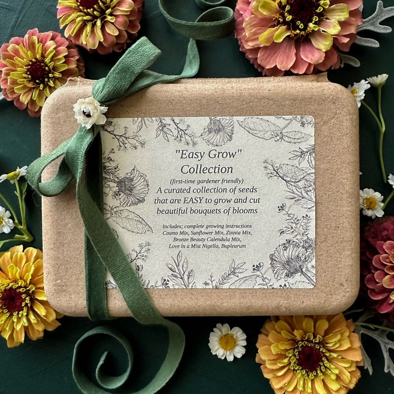 Easy grow seed collection featuring reliable cut flower varieties chosen for simple garden growing and bouquet use.