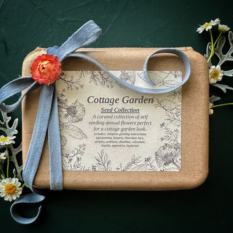 Cottage garden seed collection featuring classic cut flowers in soft, romantic seasonal tones.