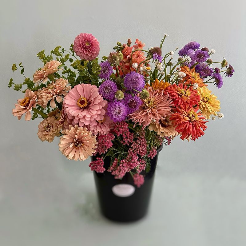 Bucket of Blooms Bucket of Blooms