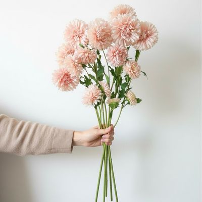 King Apricot Aster Seeds (Callistephus chinensis)