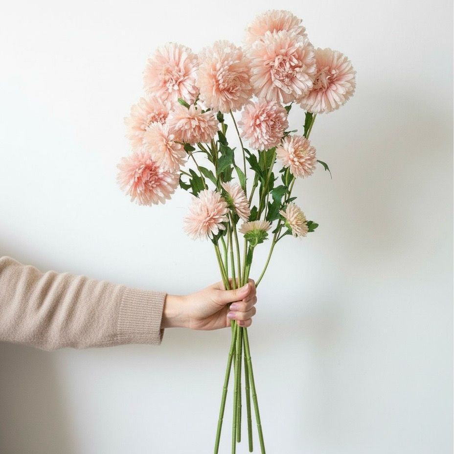 King Apricot Aster Seeds (Callistephus chinensis)