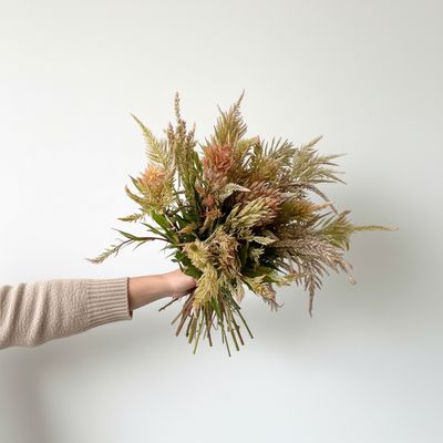 Vintage Rose Plume Celosia Seed (Celosia plumosa)