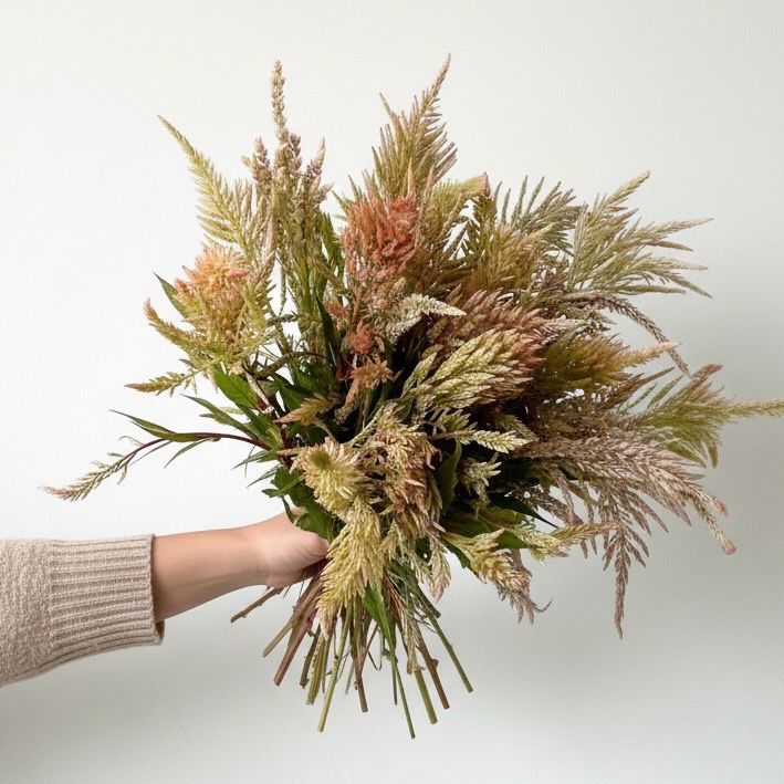 Vintage Rose Plume Celosia Seed (Celosia plumosa)