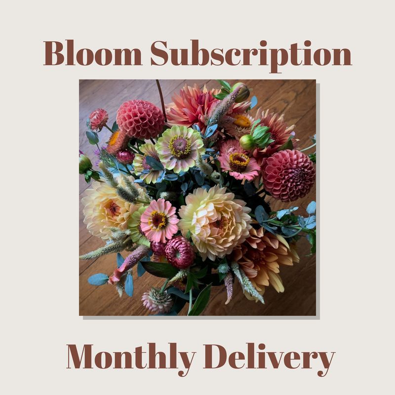 Monthly Bloom Subscription