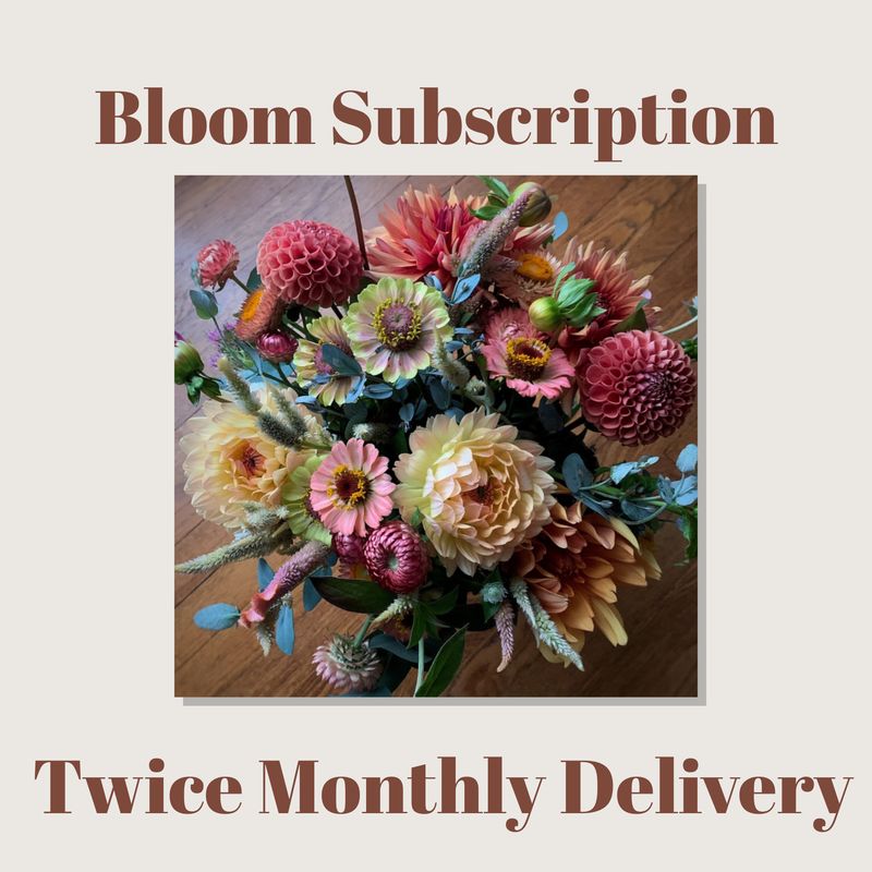 Twice-Monthly Bloom Subscription