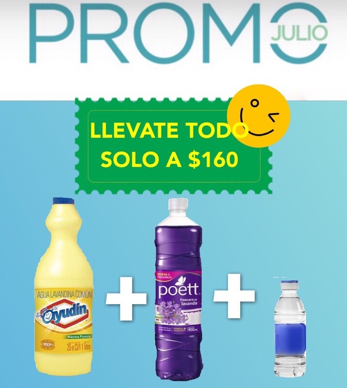 1ayudin lavandina maxi pureza x1L.+1limpiador poet x900ml.+1alcohol etílico 250ml