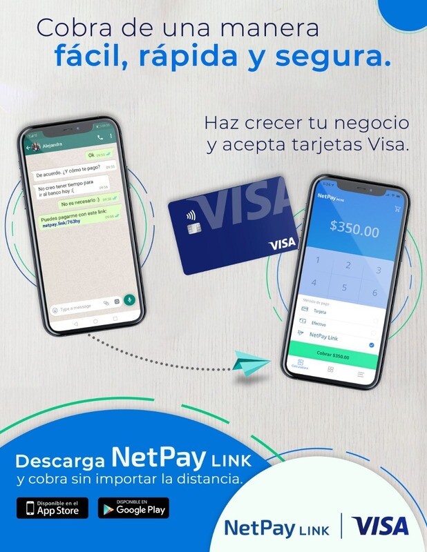 Ejemplo Netpay Link