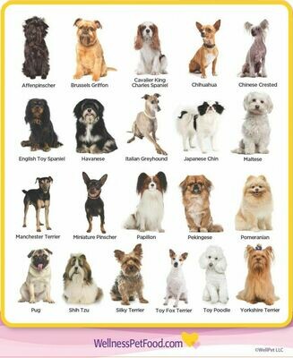 B.
Small dog grooming WITH pick up