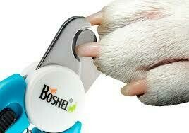 J.
Dog nail trim ONLY