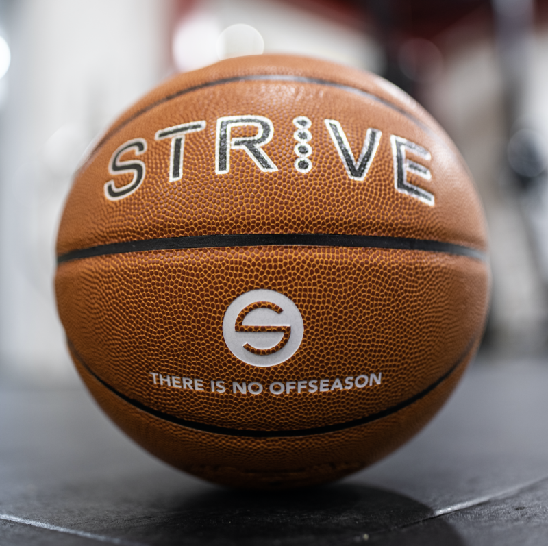 Strive Basketball (Silver)