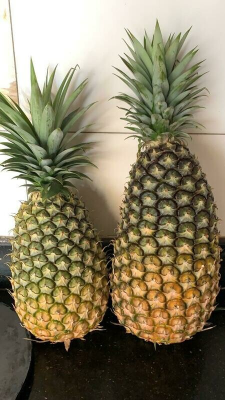 Quality Pineapples