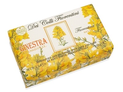 Nesti Dante Dei Colli Fiorentini Broom Soap Bar