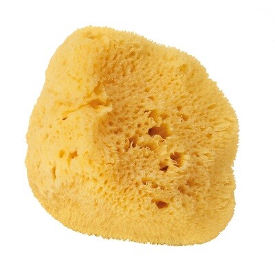 Croll &amp; Denecke Natural Fine Pored Facial Sponge - Medium