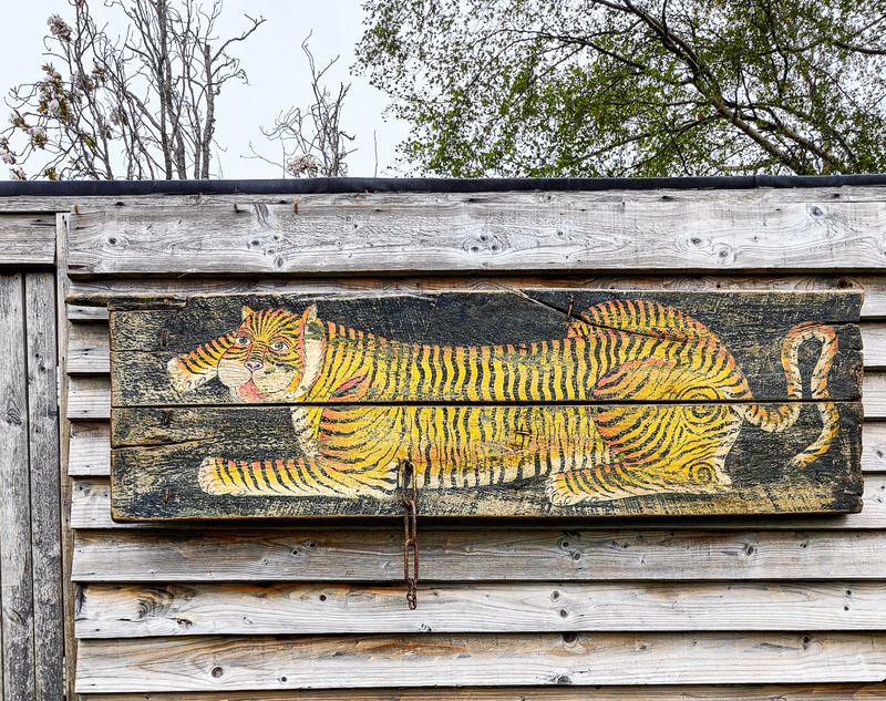 Himalayan Hand Painted Tiger 19th Century Elm Door
