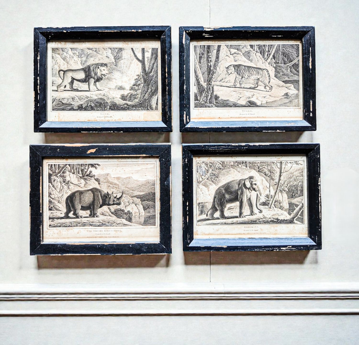 William Daniell Zoology Aquatint Engraving Prints 1807