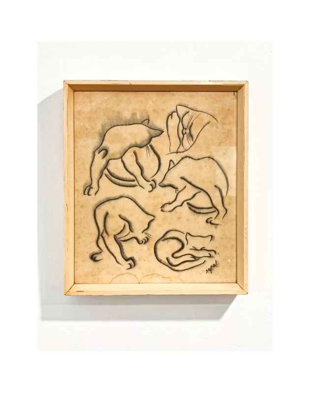 Studies of a Cat – Original Sketch by Hyman Segal (1914–2004)