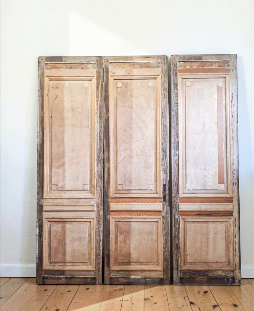French 19th-Century Chateau Doors