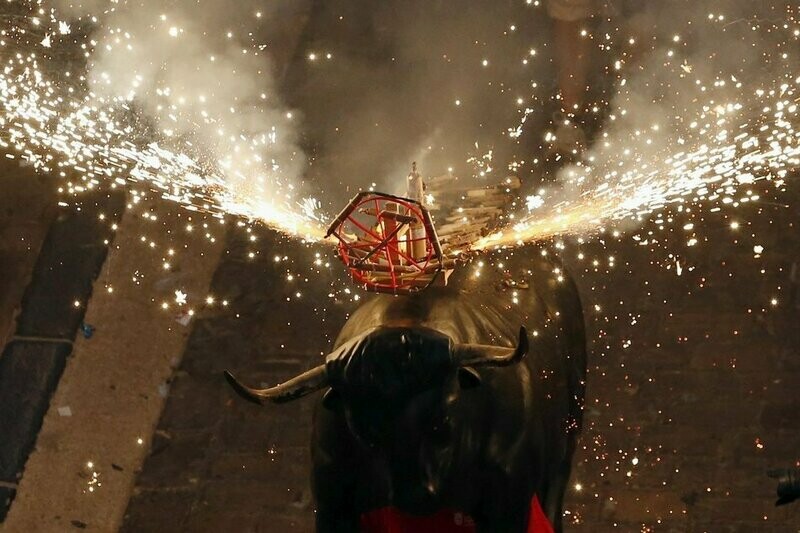 TORO DE FUEGO CORRIENTE PEINE LARGO CON FUENTE