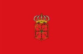 BANDERIN NAVARRA 50 METROS