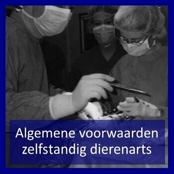 Algemene voorwaarden zelfstandig dierenarts