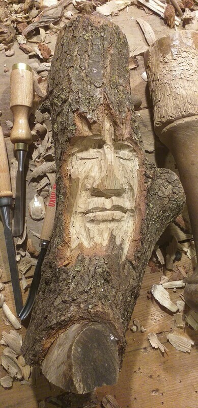 Sleeping Forest Spirit : Esperit del Bosc adormit : Espíritu del Bosque dormido