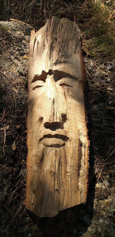 Awaken Forest Spirit : Esperit del Bosc despert : Espíritu del Bosque despierto