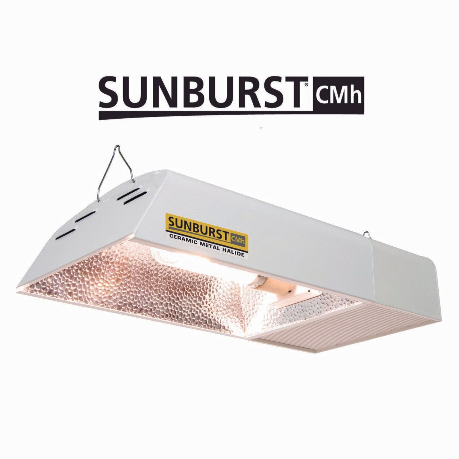 Sunburst CMh with Philips 3100K light