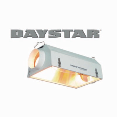 Daystar 600w