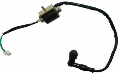 Ignition Coil - 50cc to 300cc, Male Plug 10A2026